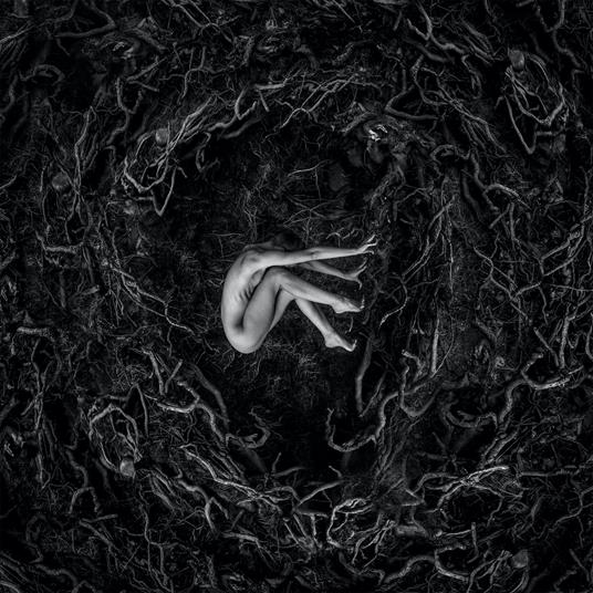 Let The Earth Be Silent - Vinile LP di Fvnerals