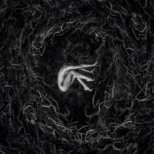 Let The Earth Be Silent - CD Audio di Fvnerals