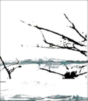 Vare - Vinile LP di Tenhi