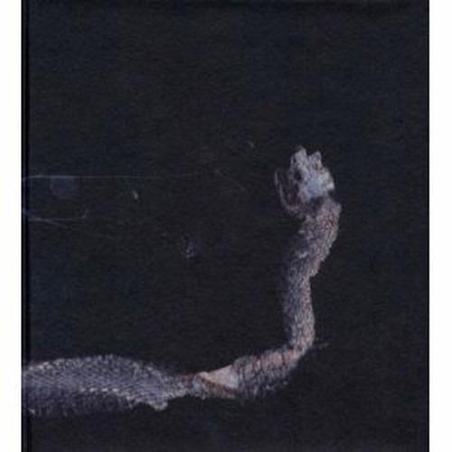 Maaaet - Vinile LP di Tenhi