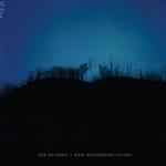 New Wildrness Gospel