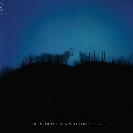 New Wildrness Gospel - Vinile LP di Lux Interna