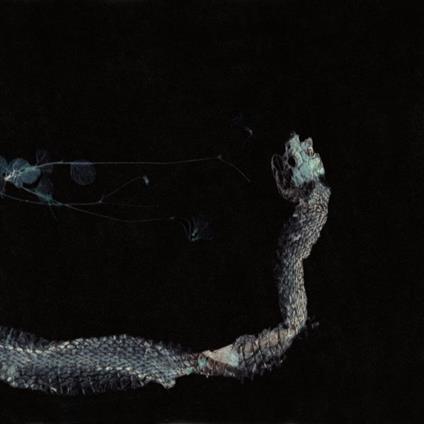 Maaaet - CD Audio di Tenhi