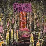 Embalmed In Decay