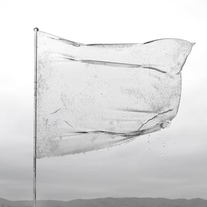 The Shape Of Fluidity - Vinile LP di Dool