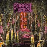 Embalmed In Decay
