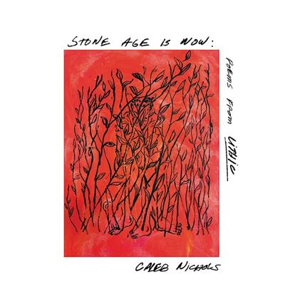 Stone Age Is Now. Poemsfrom Lithic - CD Audio di Caleb Nichols