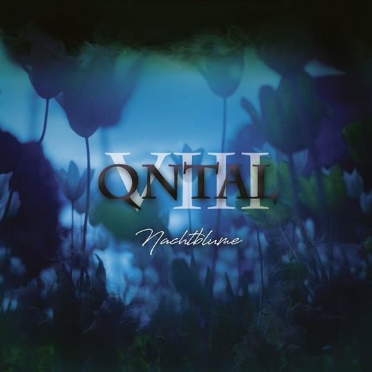 VIII - Nachtblume - CD Audio di Qntal