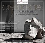 Cori d'Opera - CD Audio di Maurizio Arena
