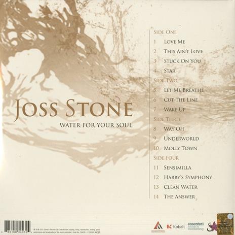 Water for Your Soul - Vinile LP di Joss Stone - 2