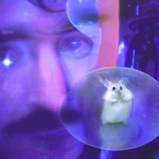 Durch Dich Durch - Vinile LP di Bachratten