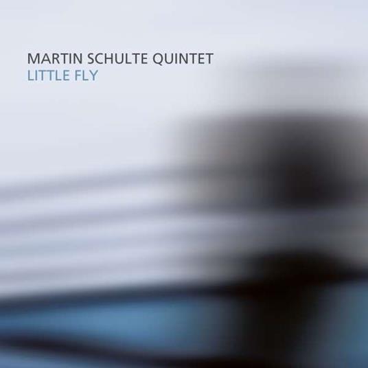 Little Fly - CD Audio di Martin Schulte