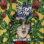 What You Don't See - Vinile LP di Story So Far