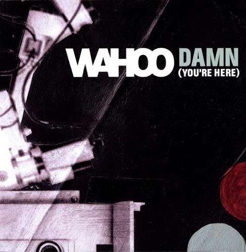 Damn - Vinile LP di Wahoo