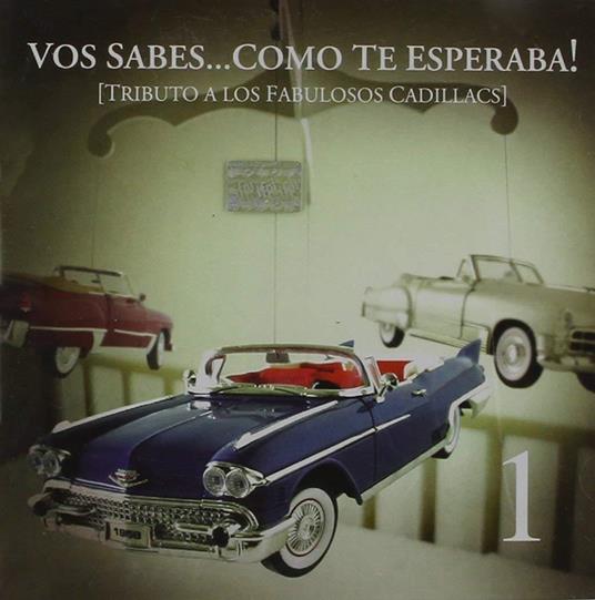 Vos Sabes Como Te Esperaba - CD Audio