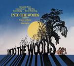 Into the Woods (Colonna sonora) (Broadway Cast)