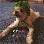 Zentropy - Vinile LP di Frankie Cosmos