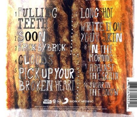 Write it on Your Skin - CD Audio di Newton Faulkner - 2