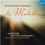 Die Motetten - CD Audio di Johann Sebastian Bach