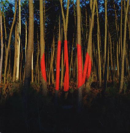 Piano ombre - CD Audio di François & the Atlas Mountains