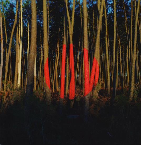 Piano ombre - CD Audio di François & the Atlas Mountains