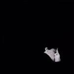 Days Gone by - CD Audio di Bob Moses