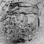 The Anteroom (Limited Edt.)