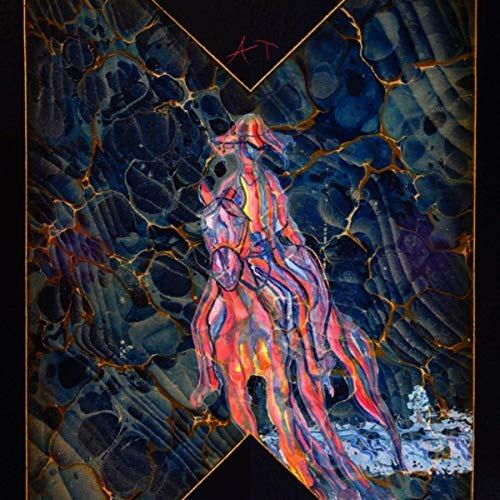 Cows on Hourglass Pond - Vinile LP di Avey Tare