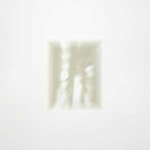 CD Forgiveness Is Yours Fat White Family