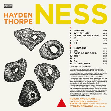 Ness - Vinile LP di Hayden Thorpe
