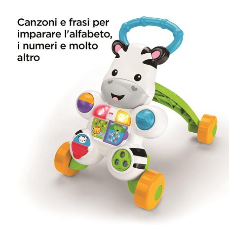 Zebra Primi Passi - 8
