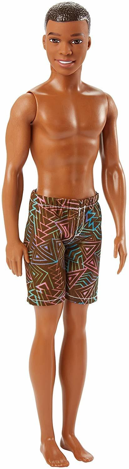 Mattel DWK07. Barbie. Spiaggia. Ken