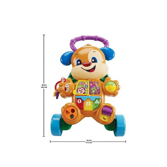 Fisher Price Cagnolino Primi Passi Smart Stages Giocattolo Istruttivo per Bambini 6 Mesi