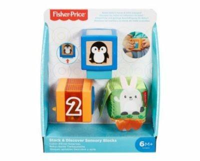 Fisher-Price GJW13 giocattolo educativo - 5
