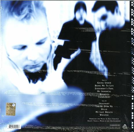 Fallen - Vinile LP di Evanescence - 2