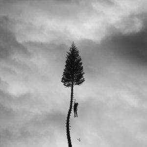 A Black Mile to the Surface - CD Audio di Manchester Orchestra