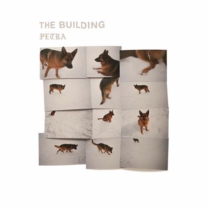 Petra - CD Audio di Building