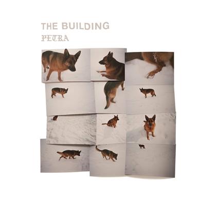 The Building - Vinile LP di Petra