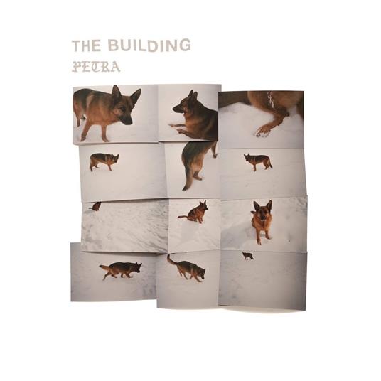 The Building - Vinile LP di Petra