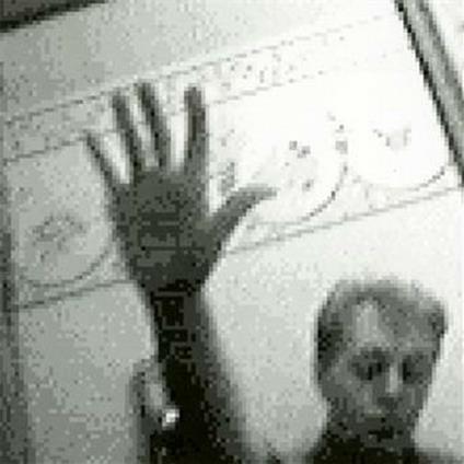 Driving Rain - CD Audio di Paul McCartney