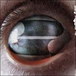 Crazy Eyes - CD Audio di Filter
