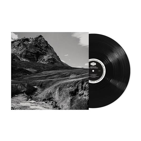 Outside Problems - Vinile LP di Andrew Bird - 2