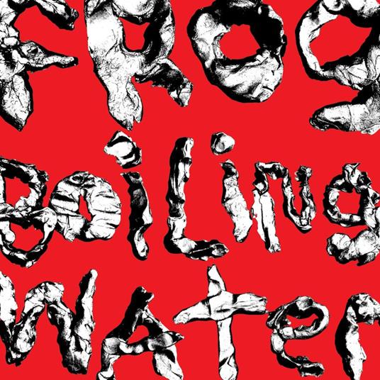 Frog In Boiling Water - Vinile LP di Diiv