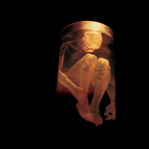 Nothing Safe. Best of - CD Audio di Alice in Chains