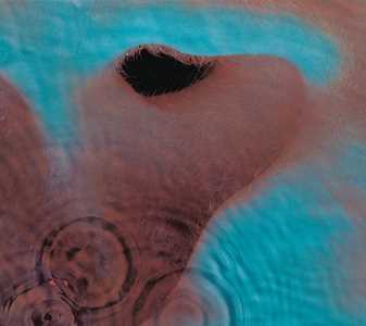 CD Meddle (4 panel softpack / 12 page booklet) Pink Floyd
