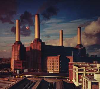 CD Animals (CD) Pink Floyd