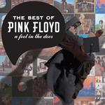 Best of Pink Floyd. a Foot in the Door
