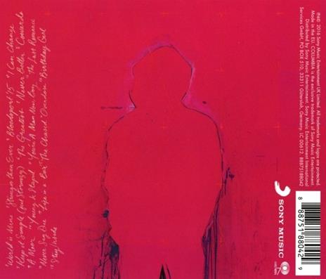 You're a Man Now Boy (Deluxe Edition) - CD Audio di Raleigh Ritchie - 2