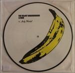 Velvet Underground and Nico (Picture Disc) - Vinile LP di Velvet Underground