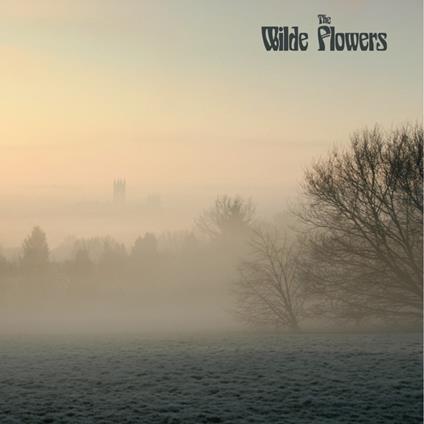 Wilde Flowers - Vinile LP di Wilde Flowers